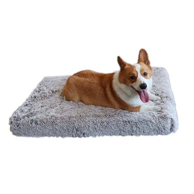 Plush Washable Dog Bed - NexGen Market