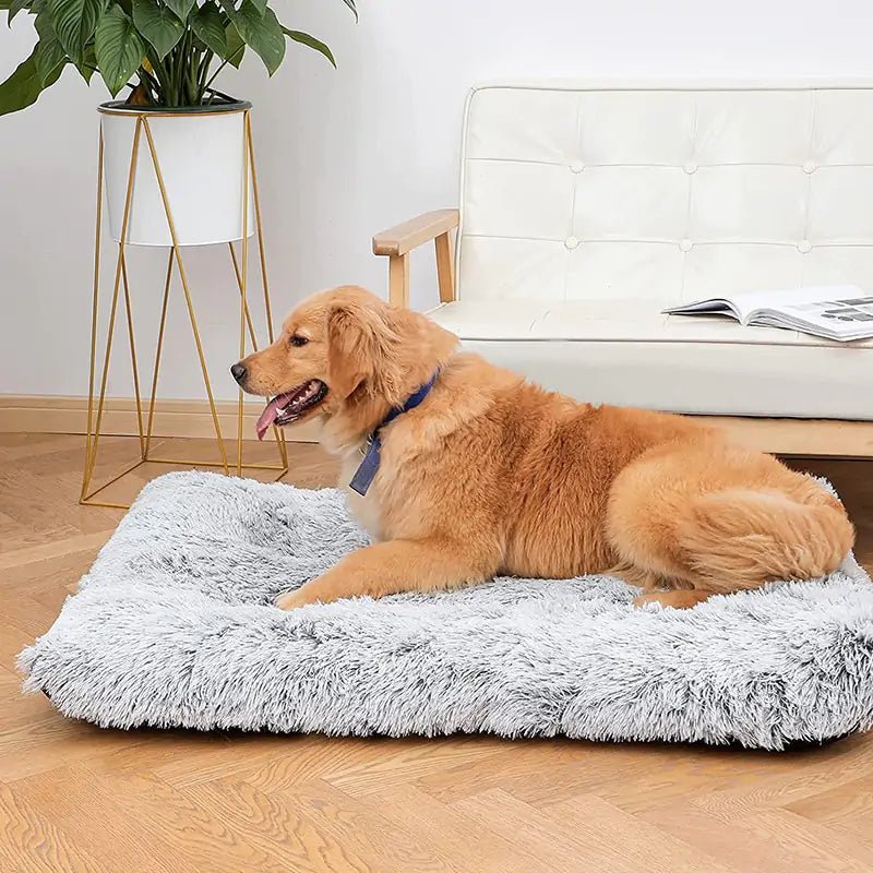 Plush Washable Dog Bed - NexGen Market