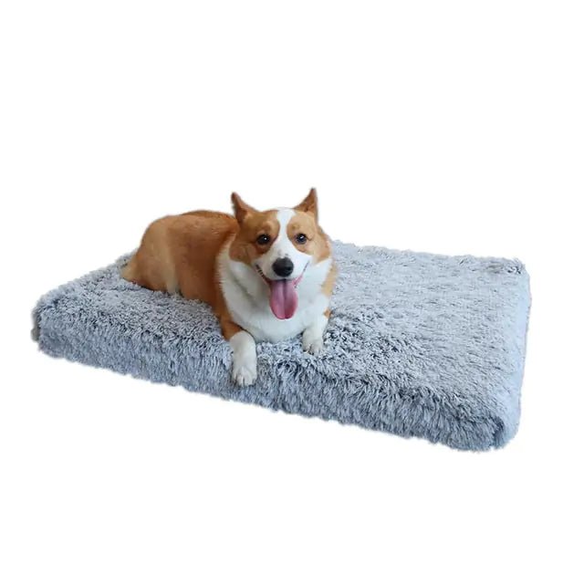 Plush Washable Dog Bed - NexGen Market