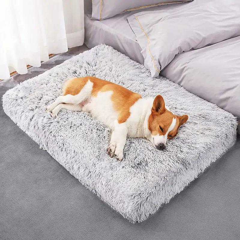 Plush Washable Dog Bed - NexGen Market