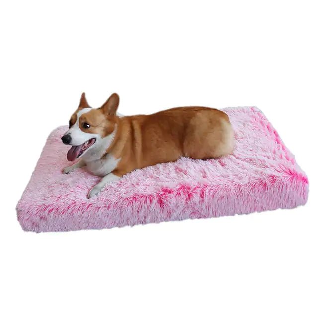 Plush Washable Dog Bed - NexGen Market