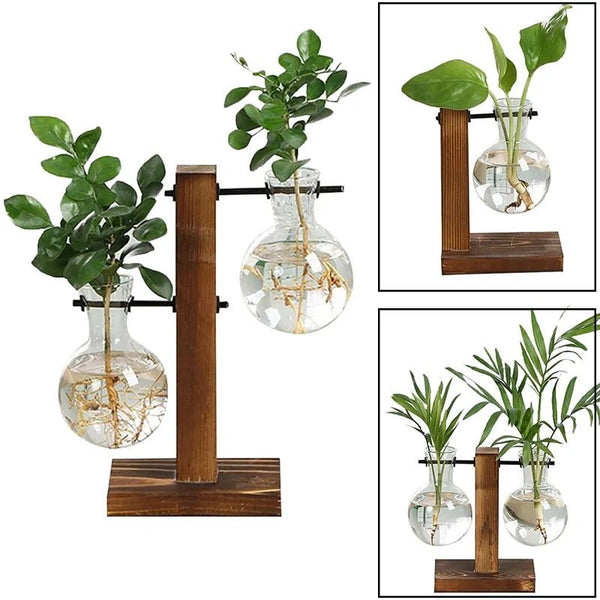 Terrarium Hydroponic Plant Vases - NexGen Market