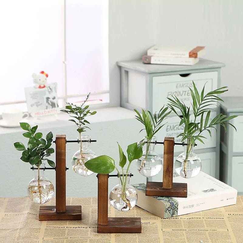 Terrarium Hydroponic Plant Vases - NexGen Market