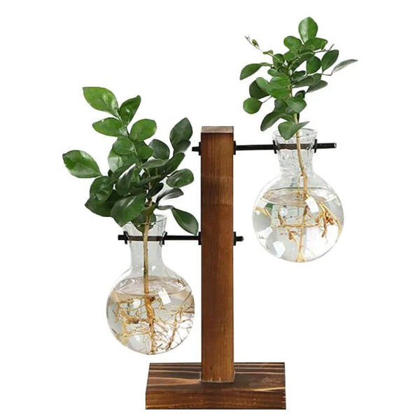 Terrarium Hydroponic Plant Vases - NexGen Market