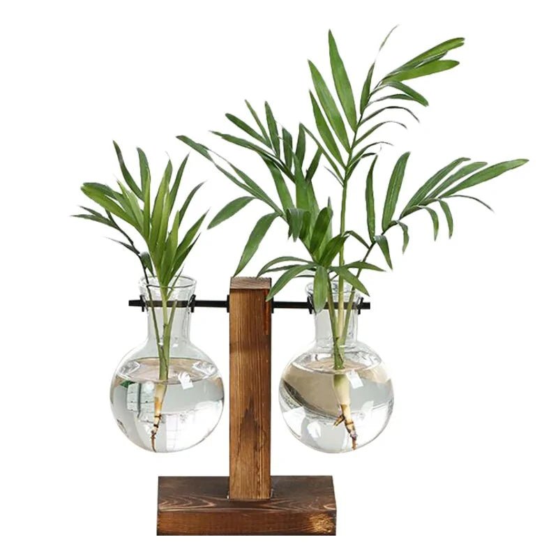 Terrarium Hydroponic Plant Vases - NexGen Market