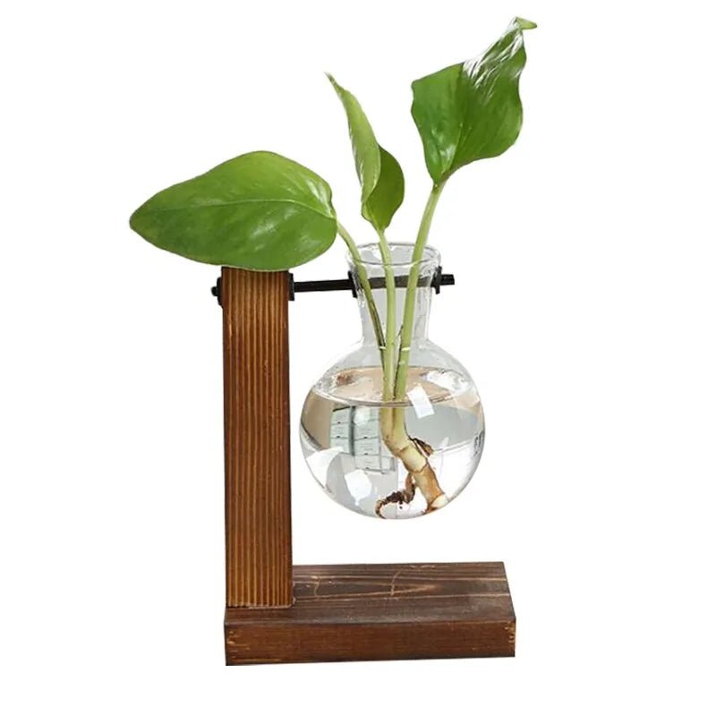 Terrarium Hydroponic Plant Vases - NexGen Market